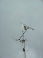 /album/antenne-opbouw/bild0616-jpg/