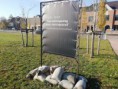 /album/fotogalerij%3a-foto%c2%b4s-activatie-on100rga1/a114-jpg/
